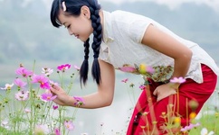 桃子老师每场直播收入仅千元